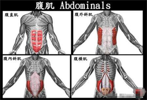 腹肌怎么练,泡芙短视频污健健身器材公司告诉你.jpg